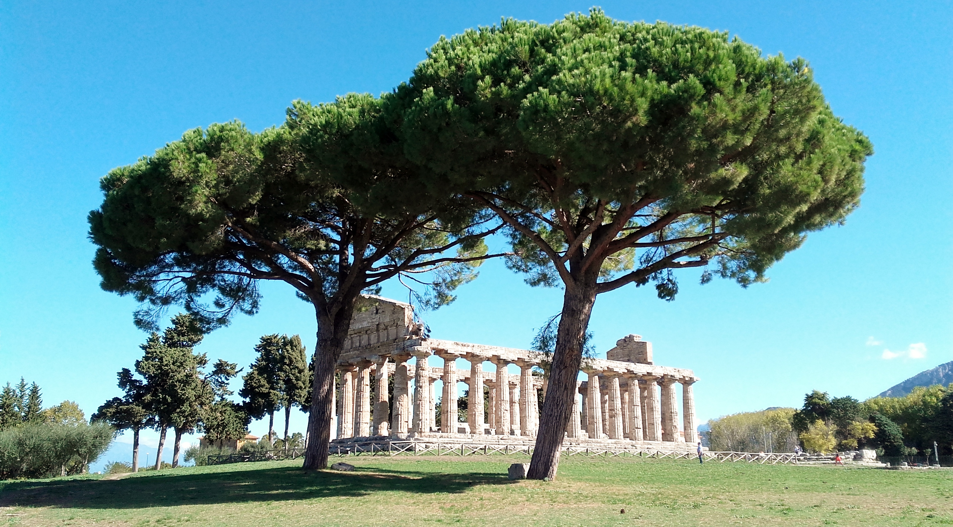 Temple d'Athéna