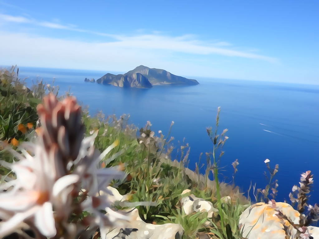 L'ile de Capri depuis Termini